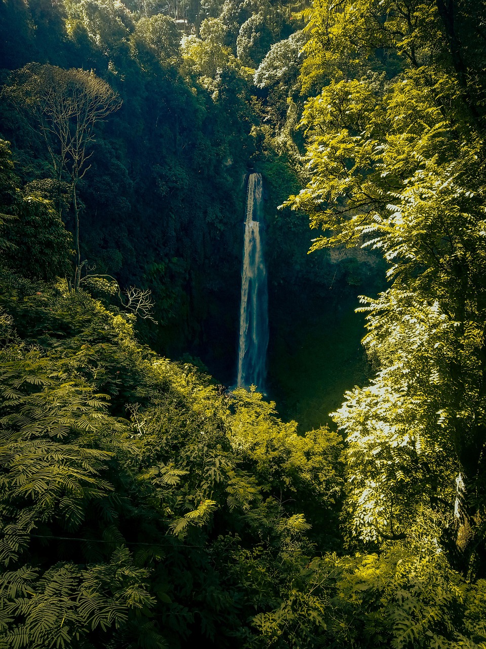 alam, trees, water, waterfall, sungai, nature, outdoors, travel, exploration, alam, alam, alam, alam, alam