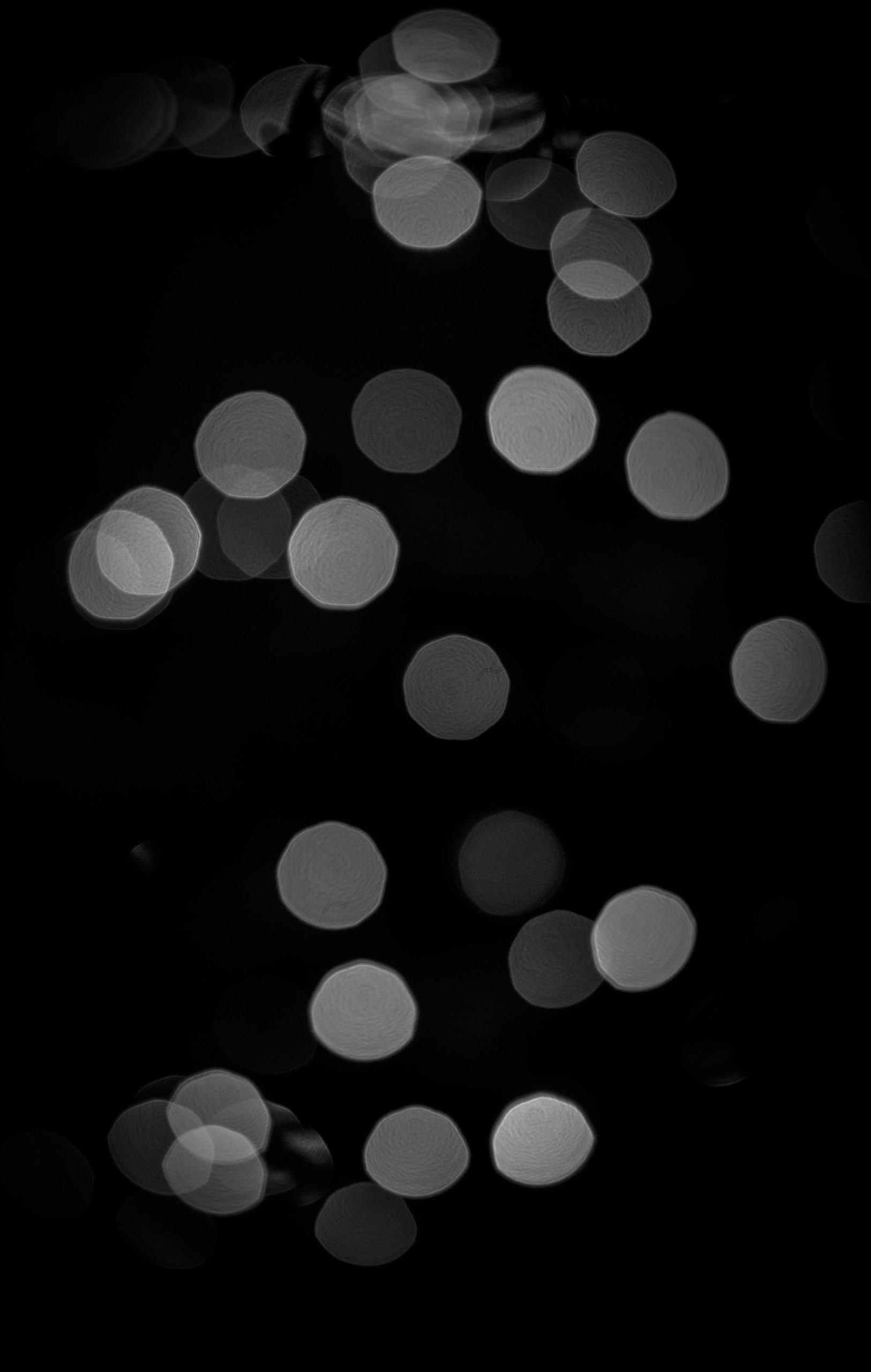 Artistic black and white bokeh lights creating an abstract effect.