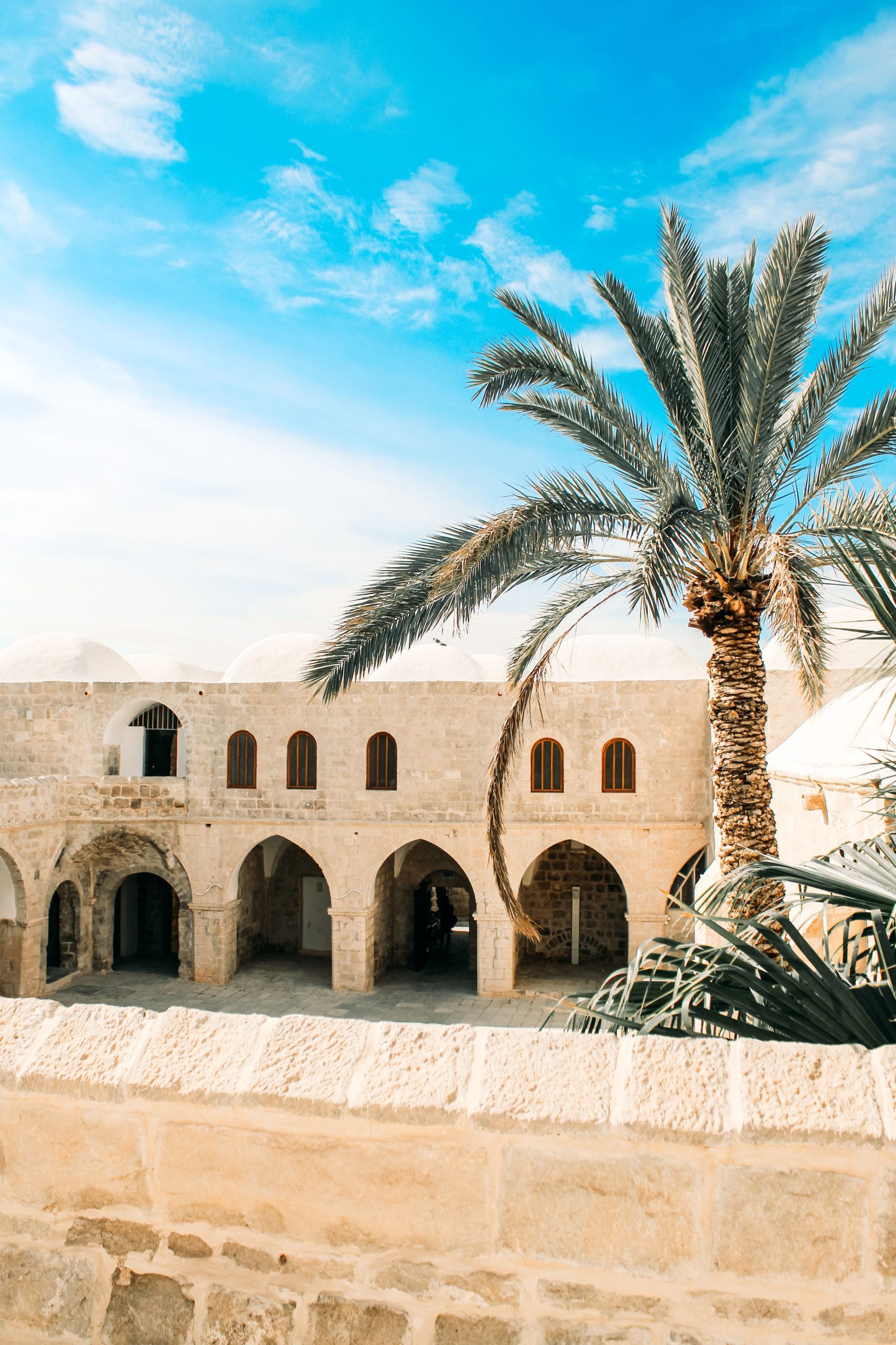 Beautiful courtyard with a palm tree and historic arches under a bright blue sky.
